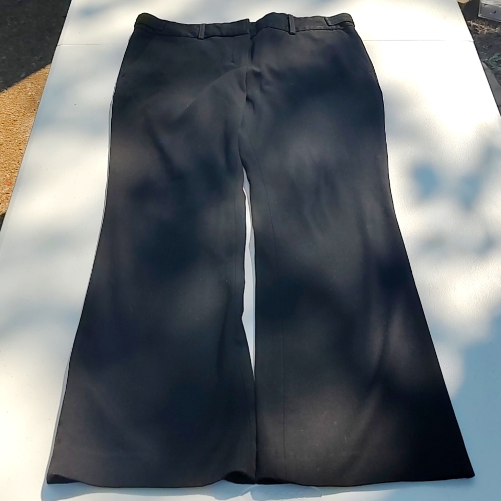 Express Pants